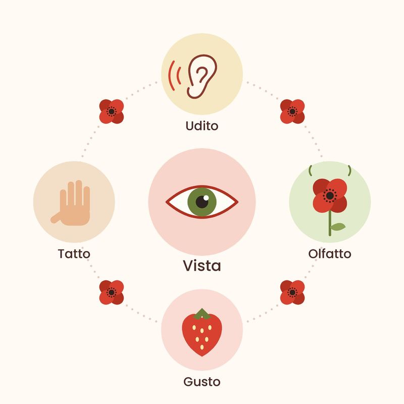 Icone che rappresentano i 5 sensi