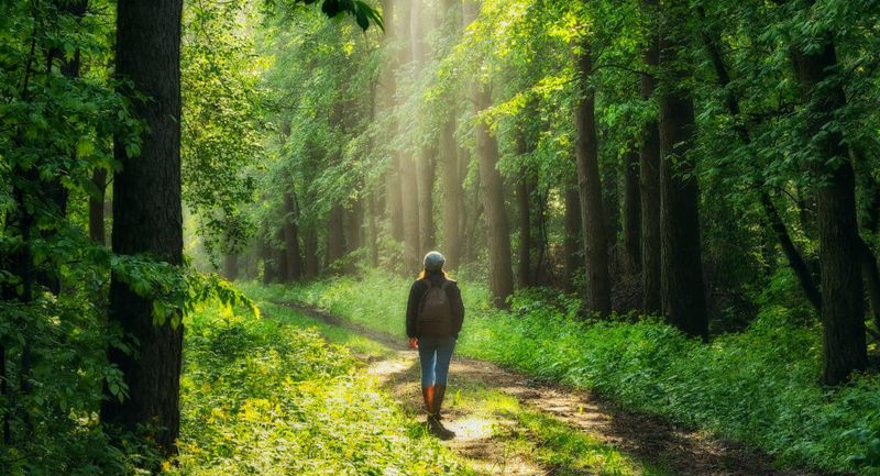 una persona che medita camminando in natura