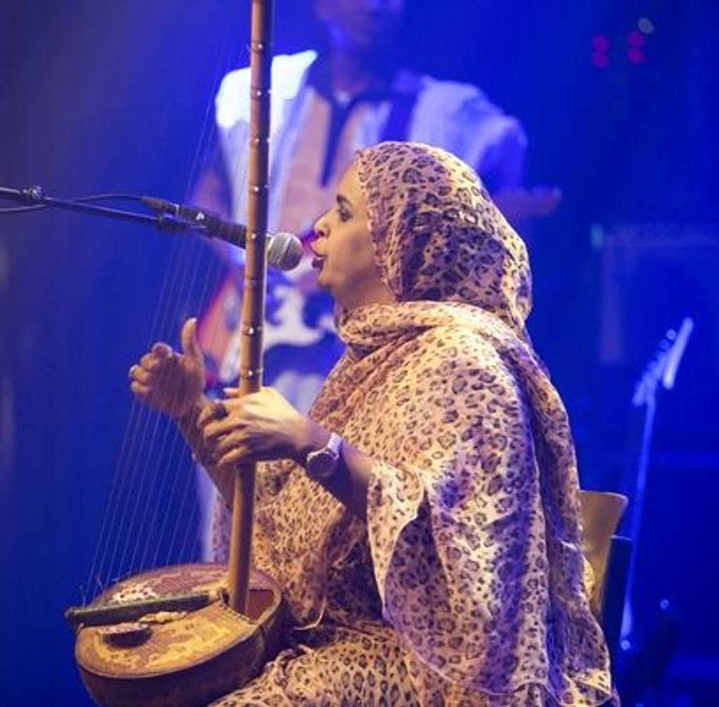 Noura Mint Seymali