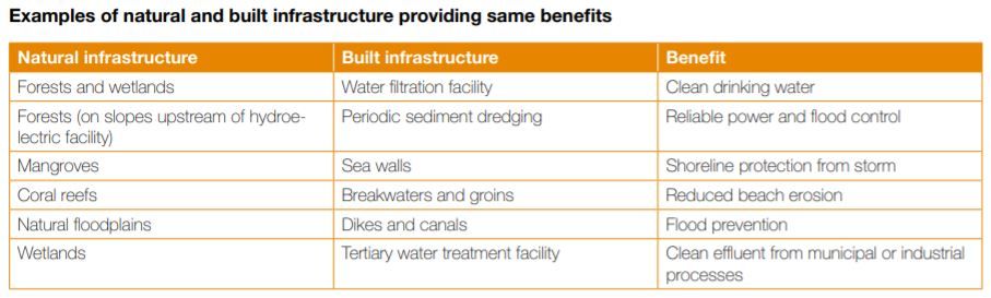 Examples of natural and built infrastructure that provide similar benefits (Source: WISE-UP)