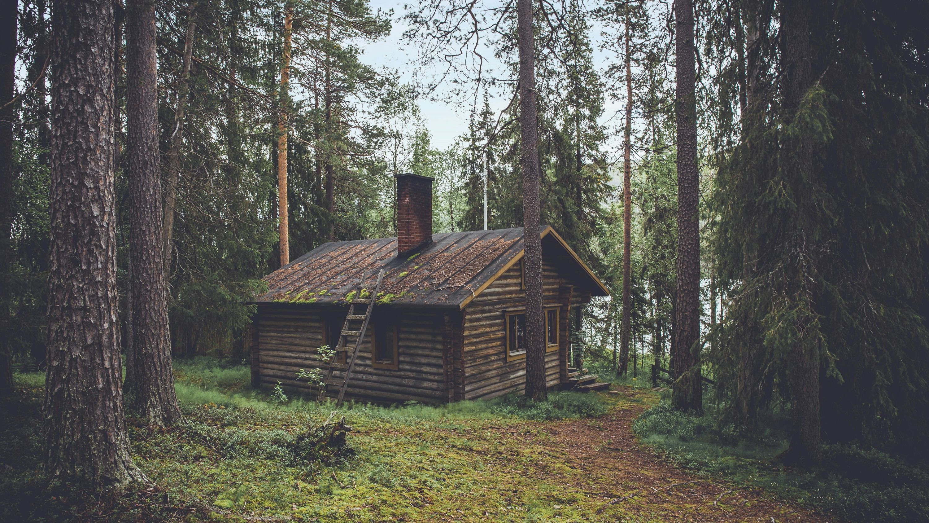 An old log cabin in the woods that look like an interesting place to call home