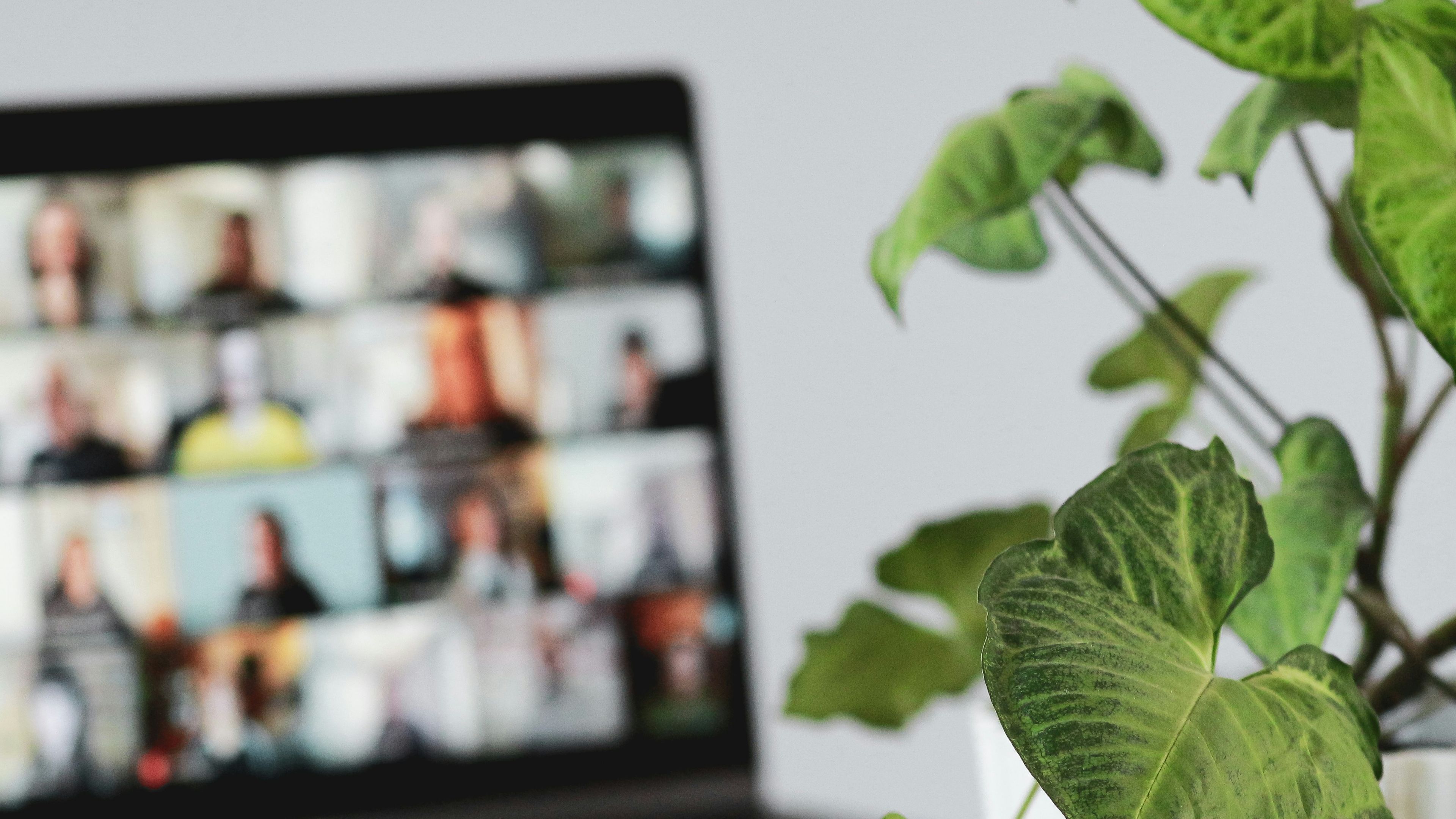 A bunch of people gathered on a Zoom call