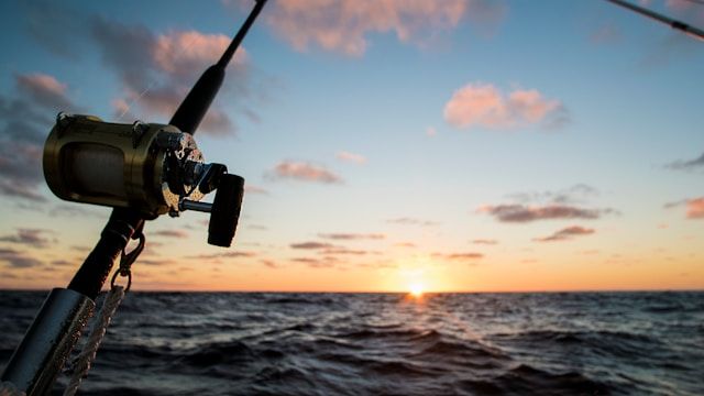 Licenza di pesca in Italia 2025: costi, regole e come ottenerla