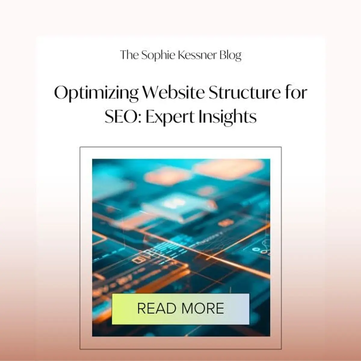 optimizing website structure for seo expert insights
