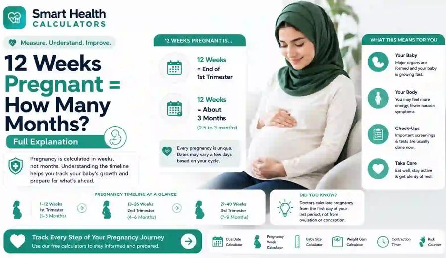 12 Weeks Pregnant = How Many Months? Full Explanation
