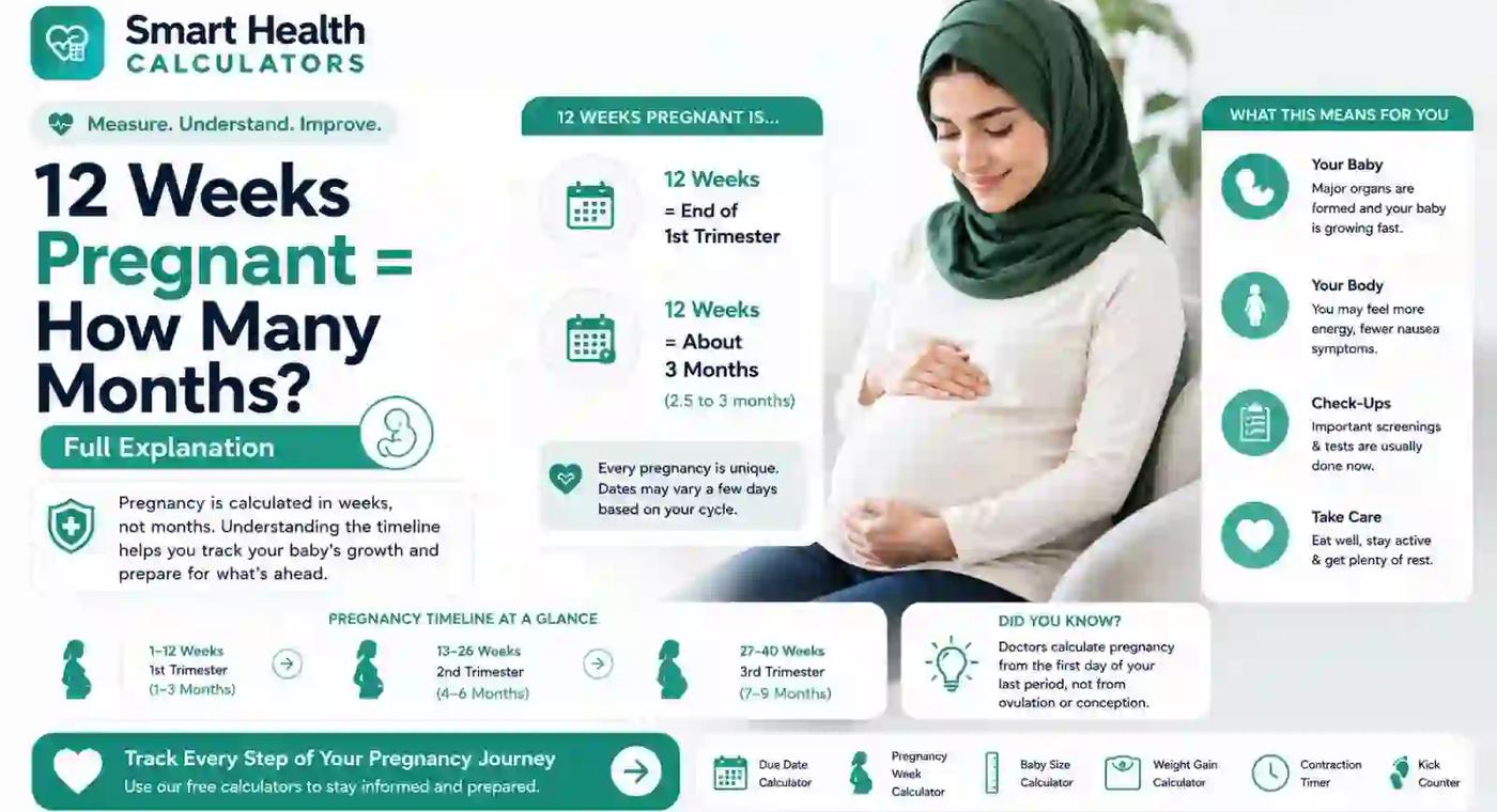 12 Weeks Pregnant = How Many Months? Full Explanation