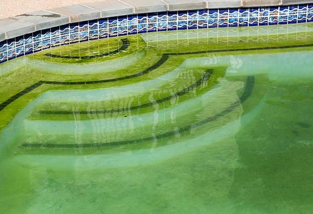 une piscine verte à cause des algues dedans