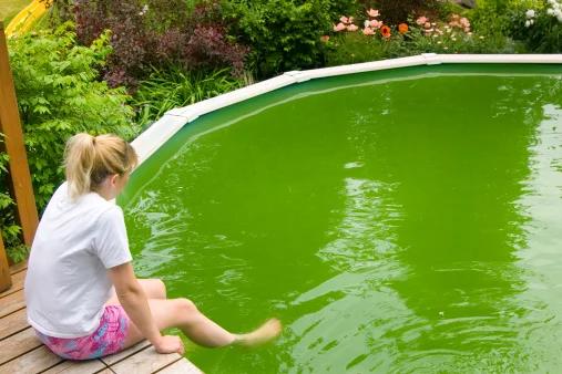 femme au bord d'une piscine avec des algues moutardes