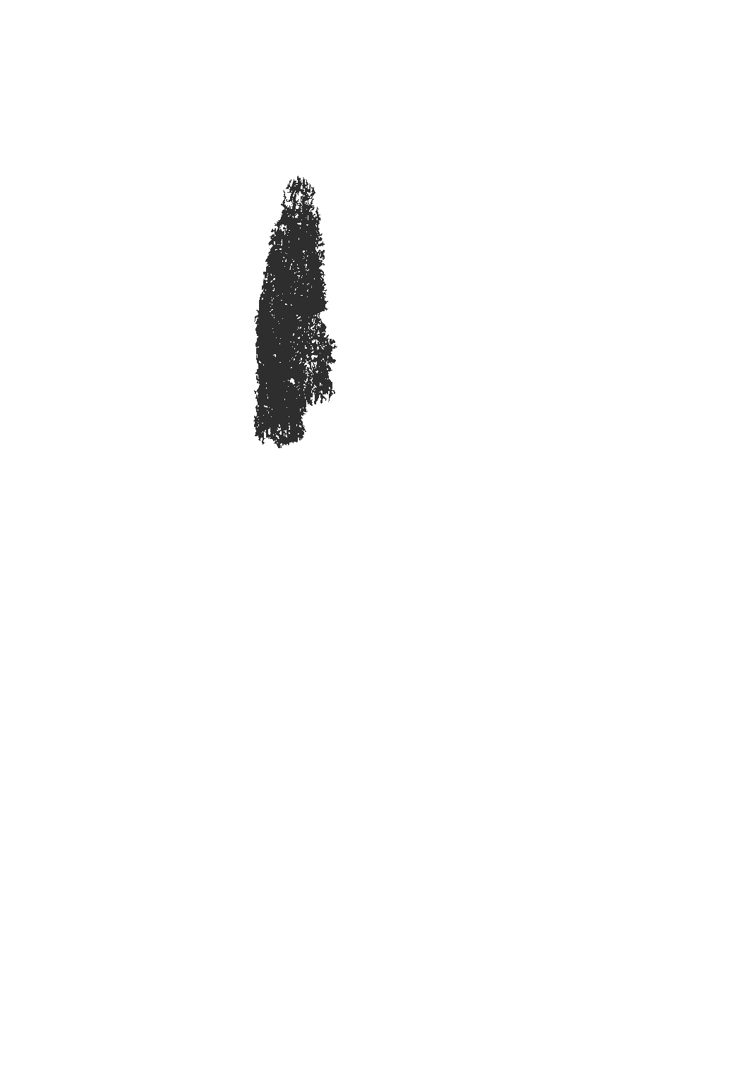 Bella Figura Logo Animation