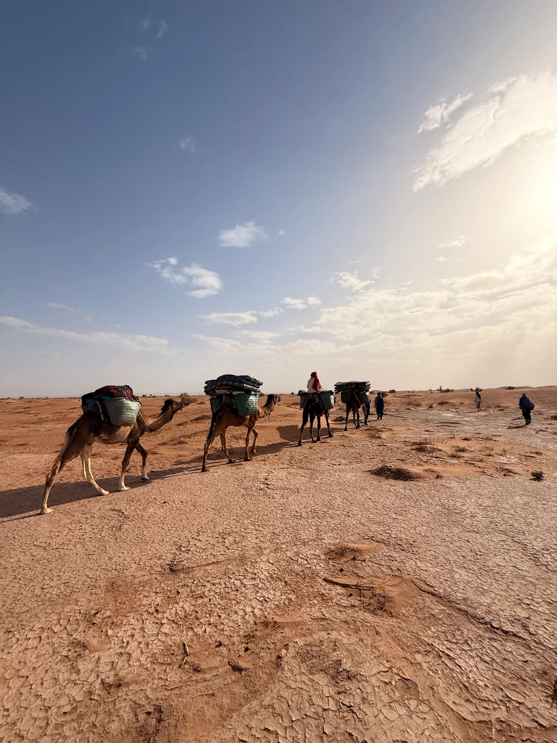 A camel caravan on the dunes near Zagora