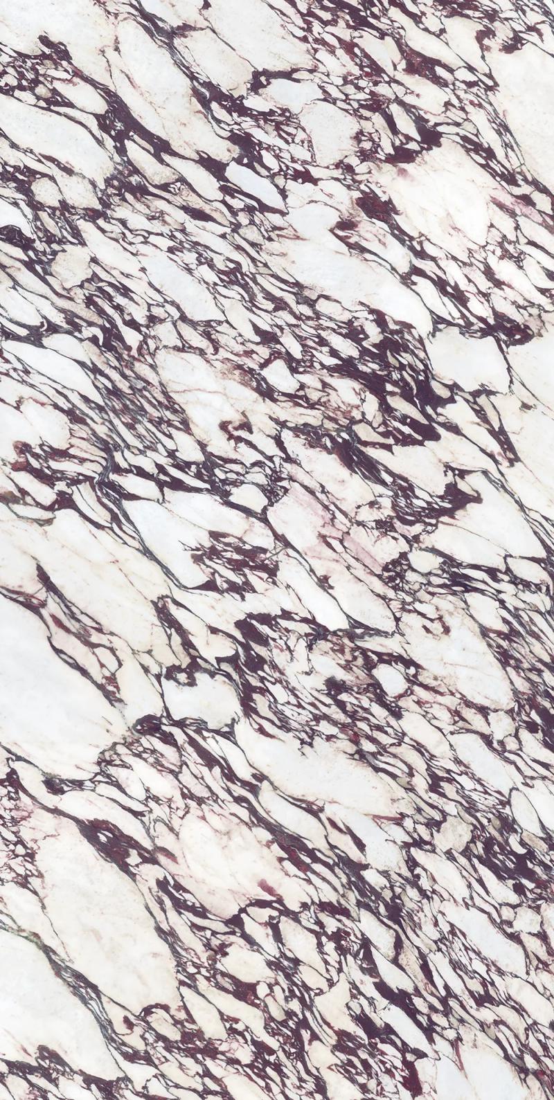 Calacatta Viola Porcelain slab