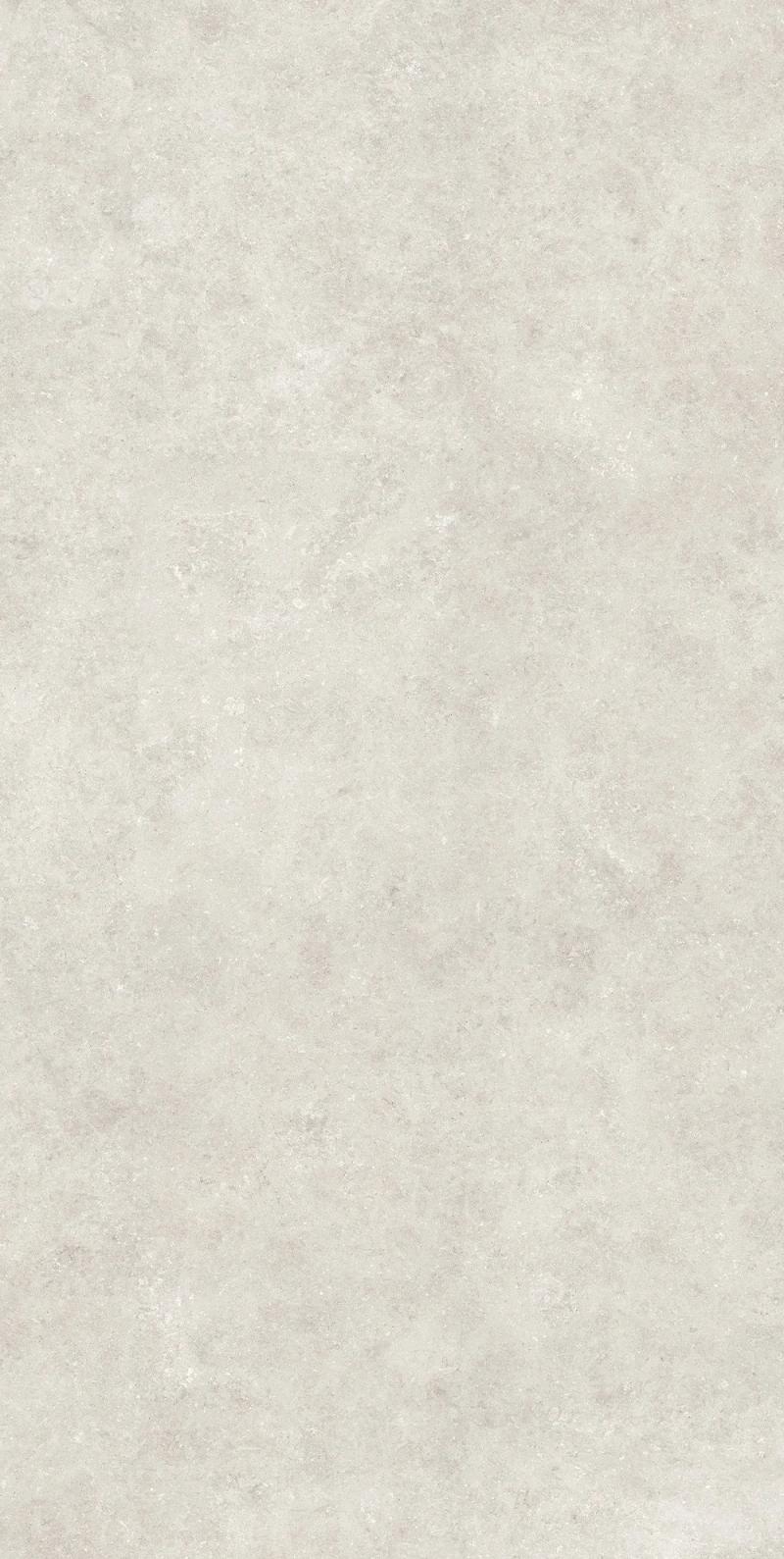 Fossil Porcelain slab