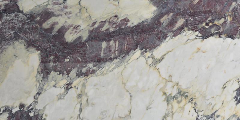 Breccia Capraia Marble slab