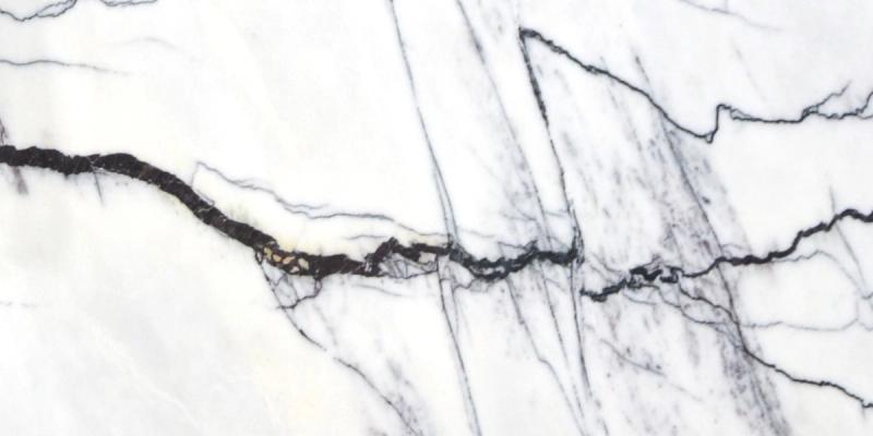 Calacatta New York Marble slab