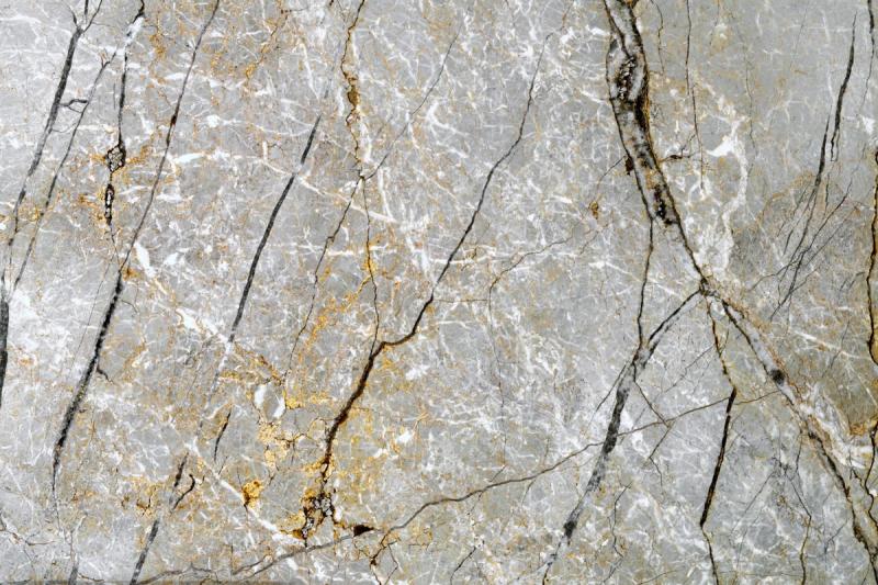 Silver Roots Marble slab