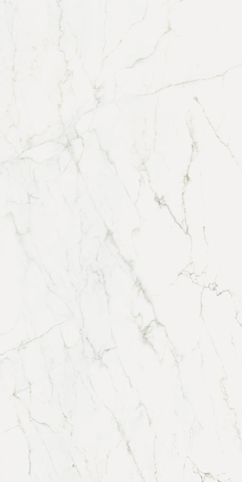 Calacatta Glory Porcelain slab