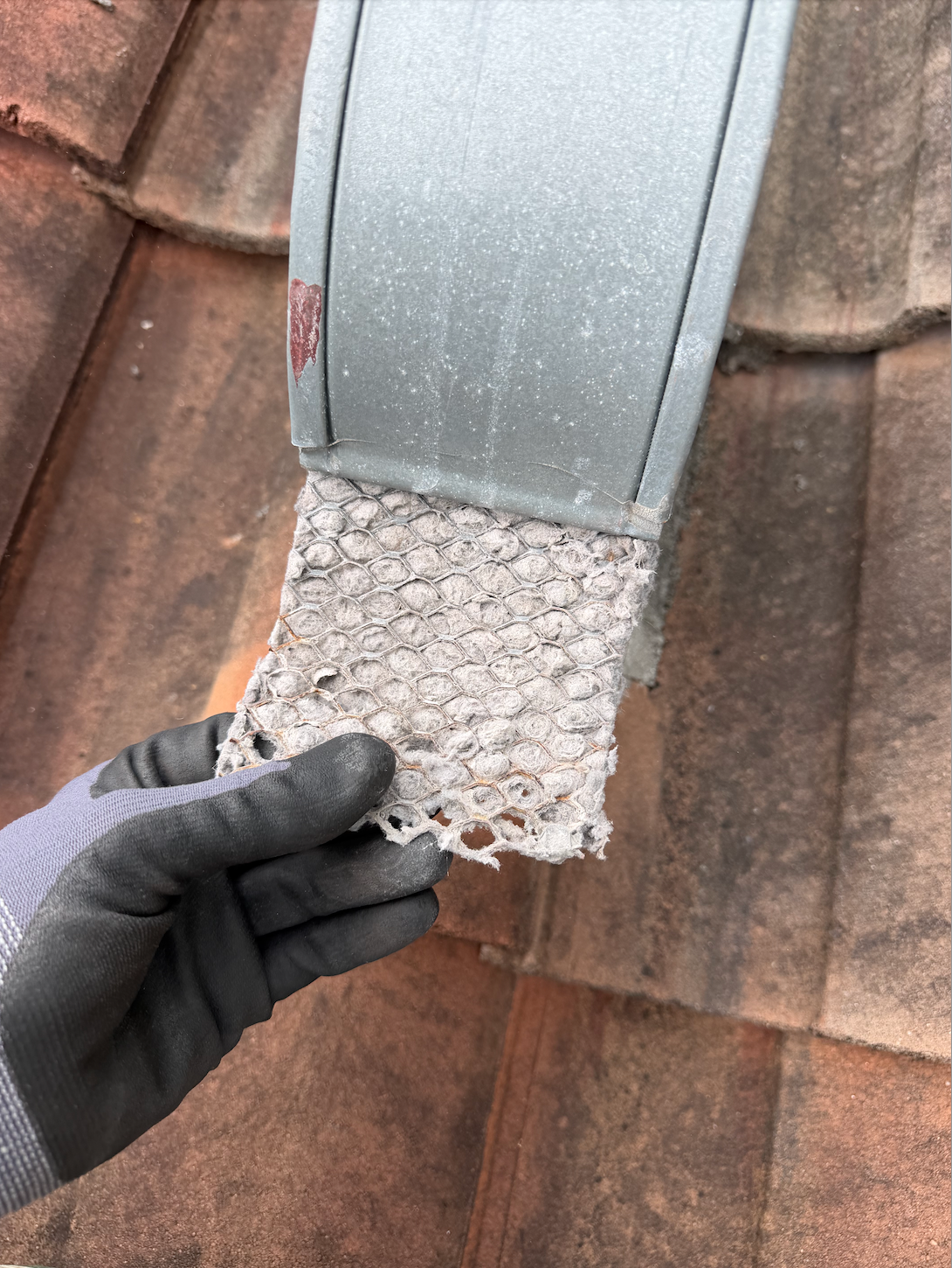 Why Dryer Vent Roof Screens Are a Hidden Fire and Efficiency Hazard