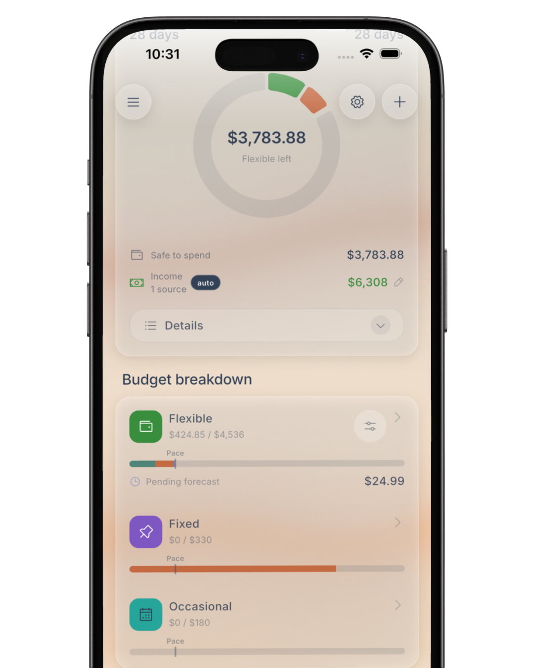 flex budget on iphone