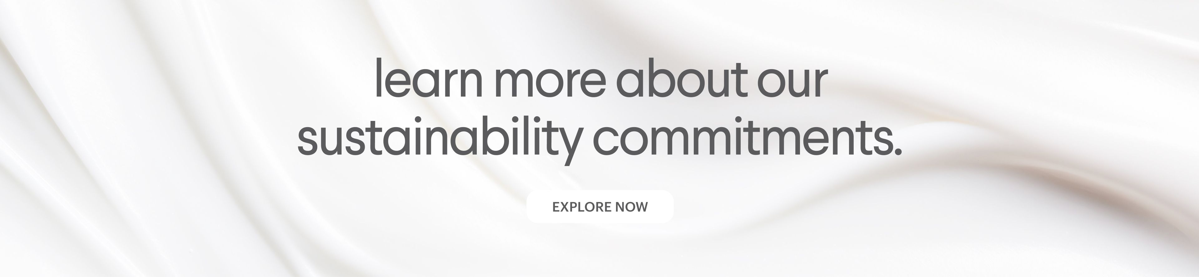 Learn more about our sustainability commitments. EXPLORE NOW button.