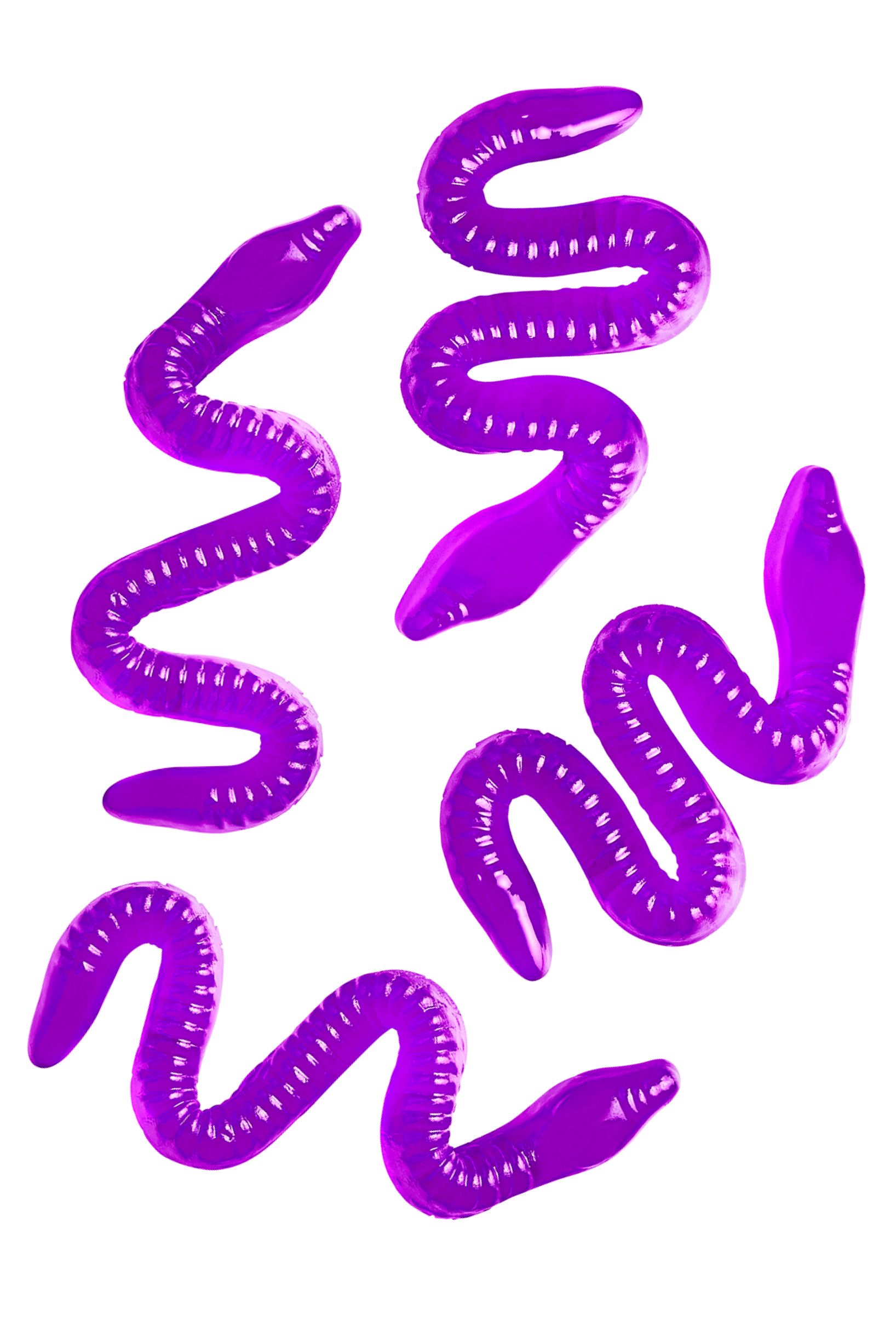 two purple worms are on a white background