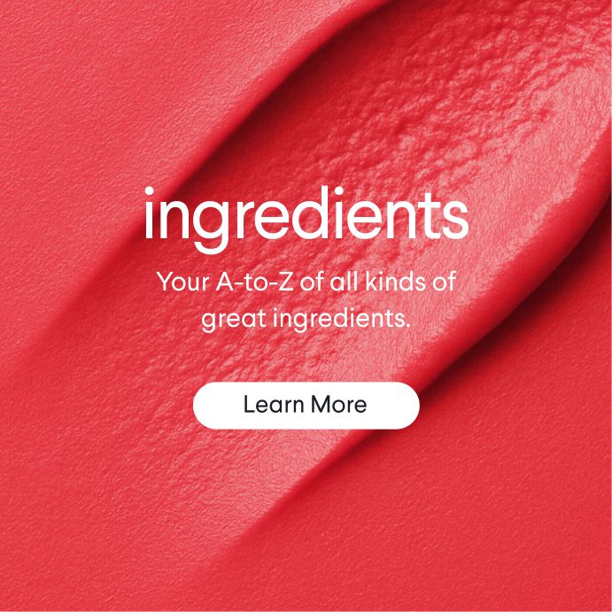 a red background with the words ingredients your a-to-z of all kinds of great ingredients