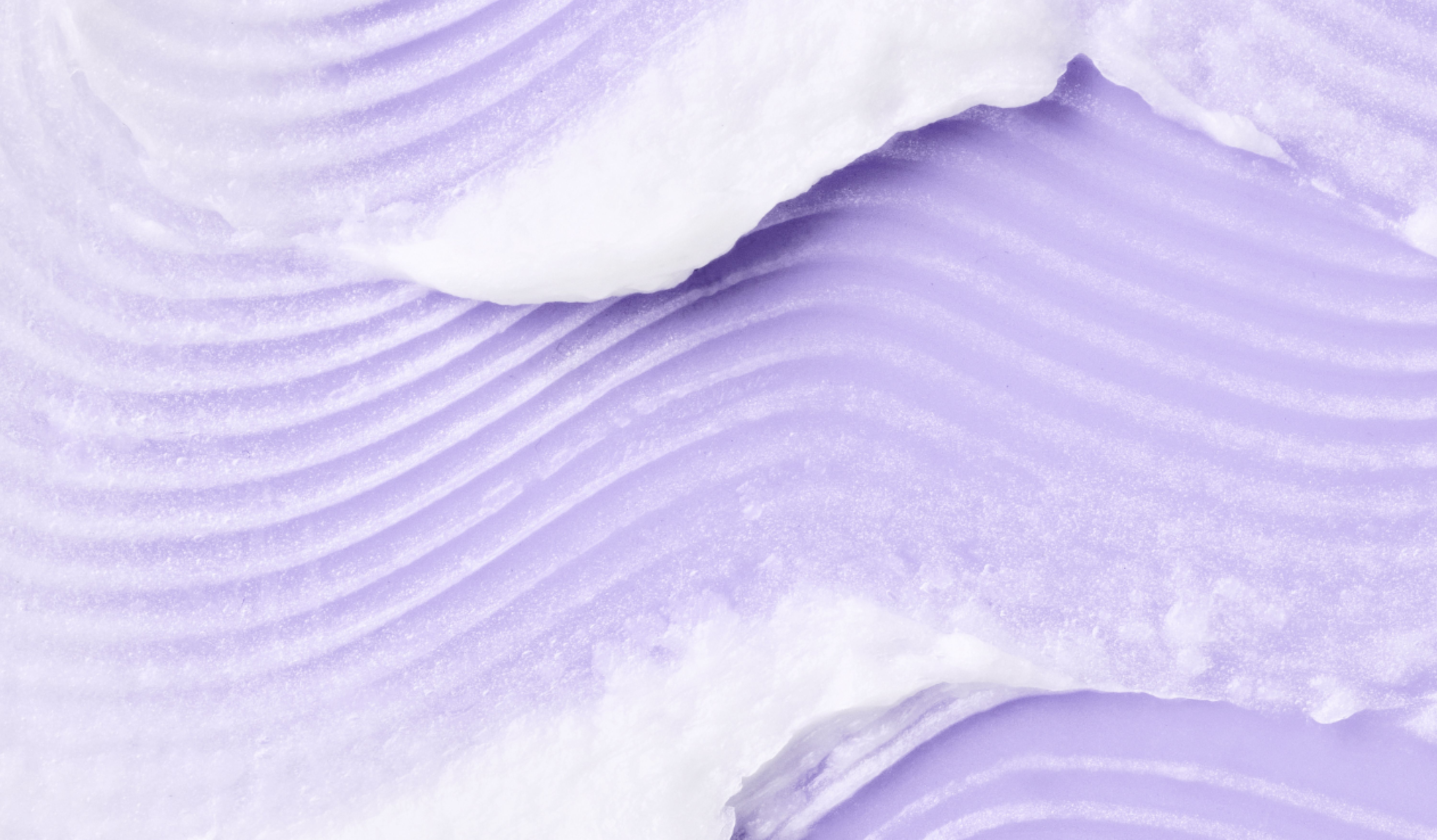 A completely blank white image.