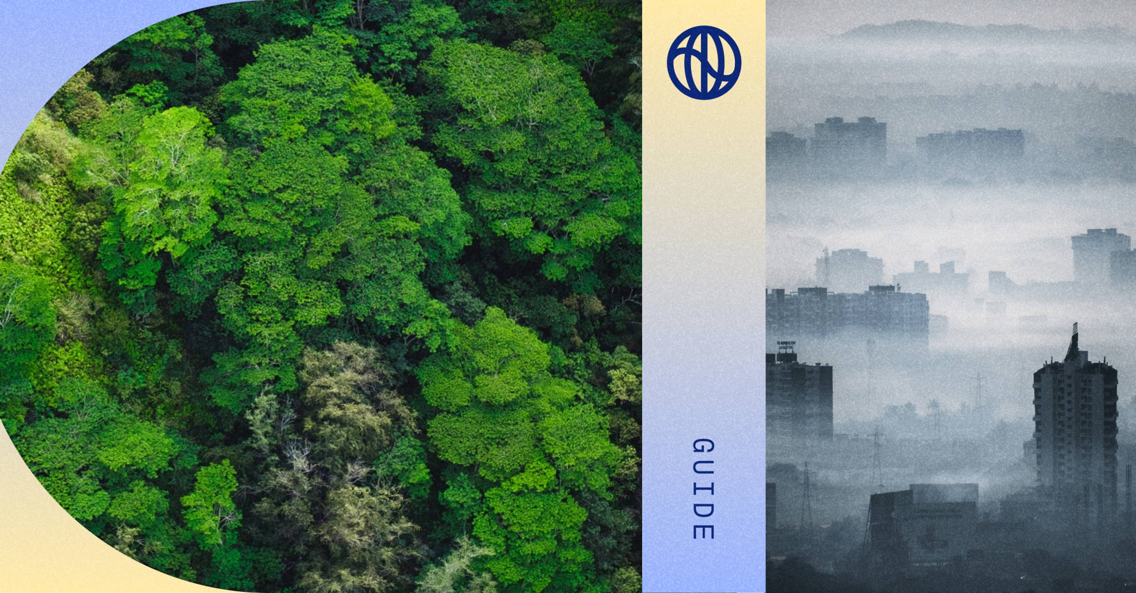Collage showing an aerial view of a green forest, paired with a smog-filled cityscape 