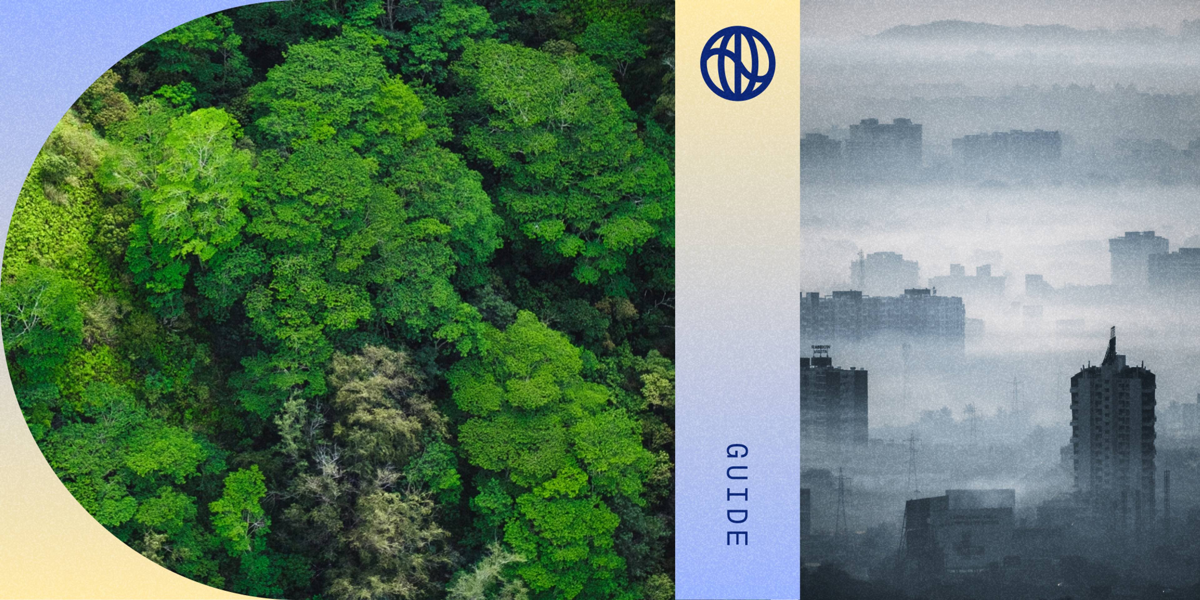 Collage showing an aerial view of a green forest, paired with a smog-filled cityscape 