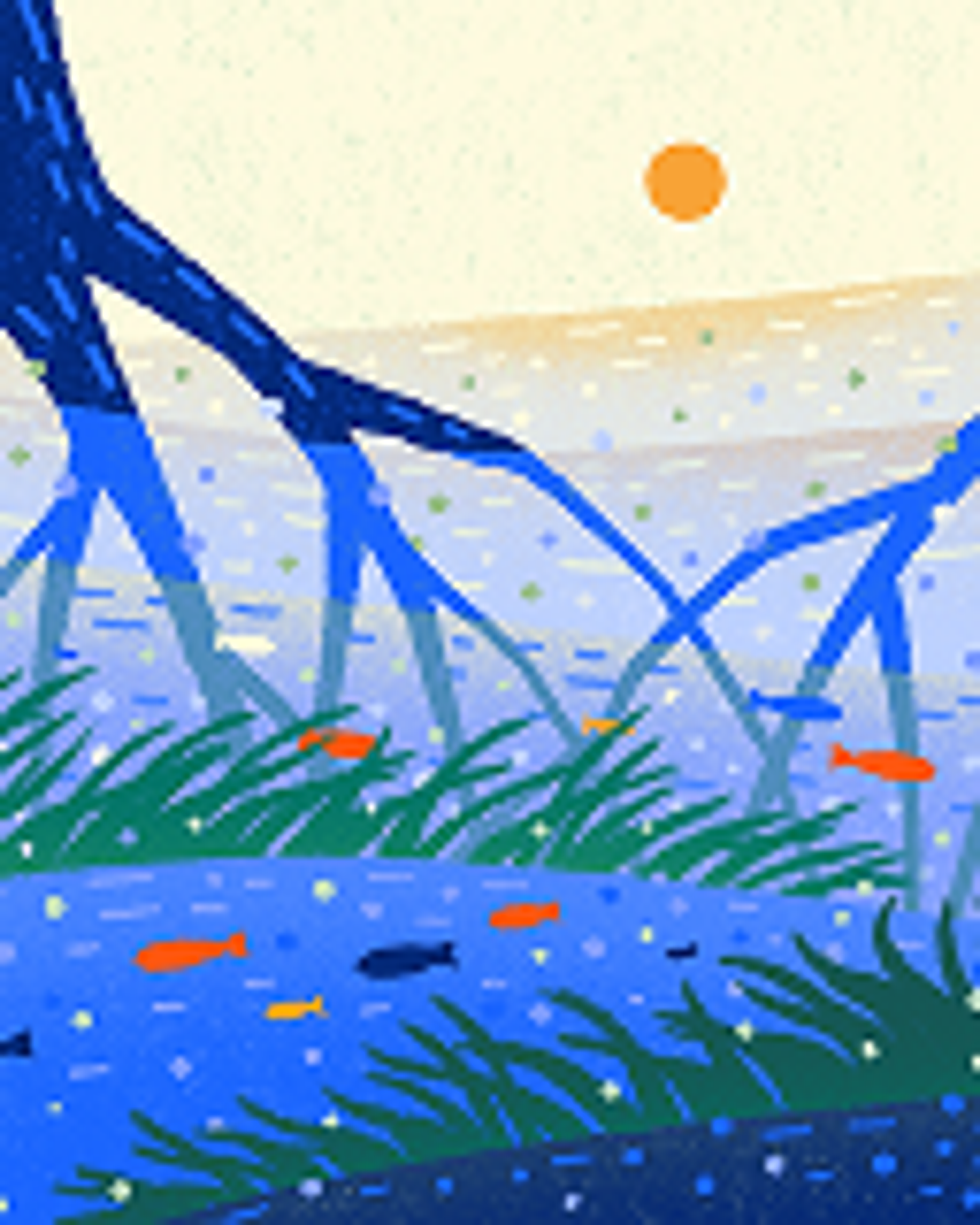 Roots in water