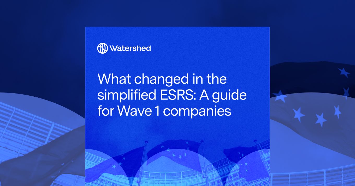 simplified-esrs-what-changed