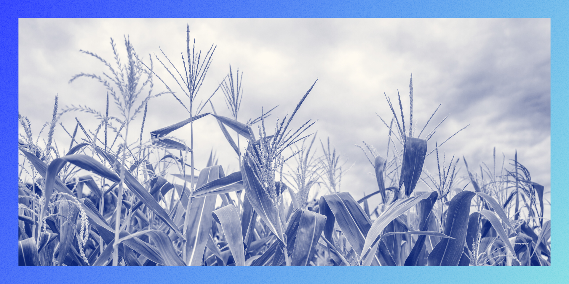 Webinar header image