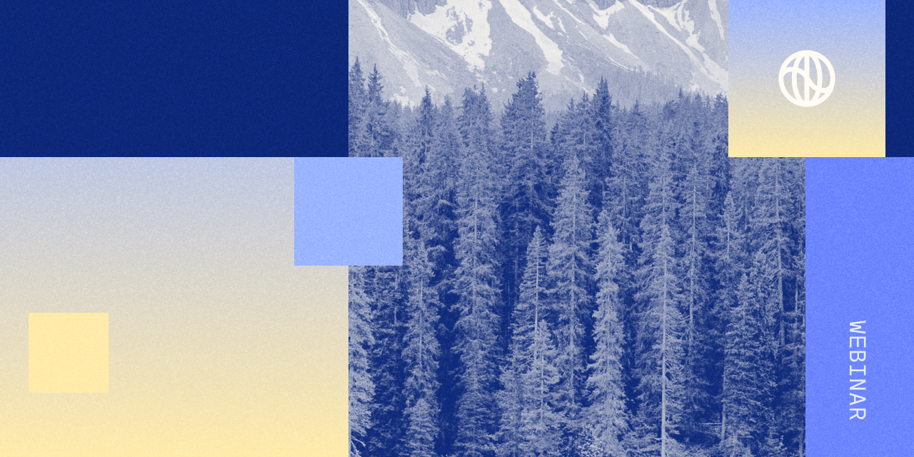 an image of a forest for a webinar on AB 1305, California's law on carbon credits and climate claims