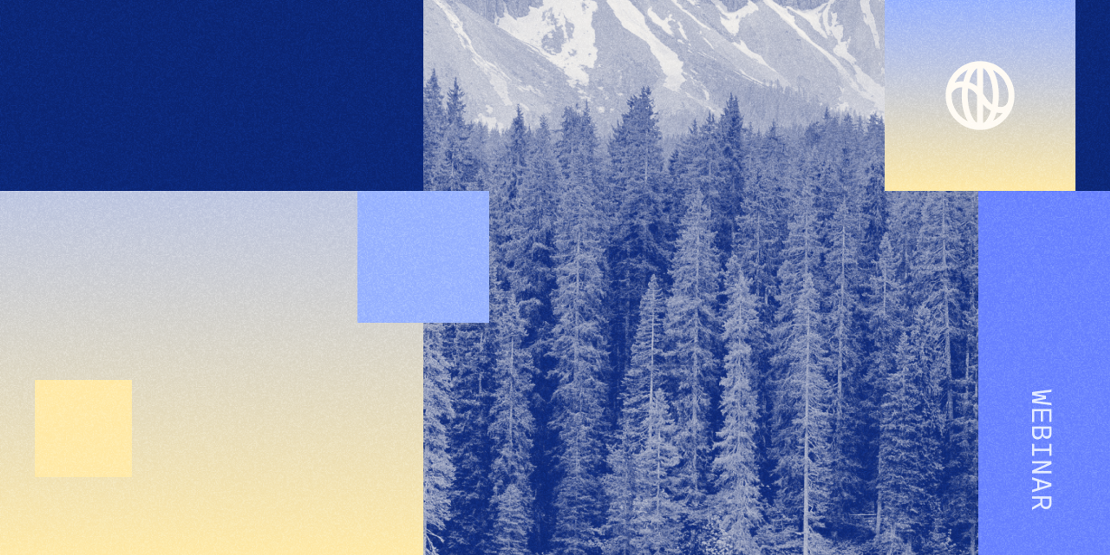 an image of a forest for a webinar on AB 1305, California's law on carbon credits and climate claims