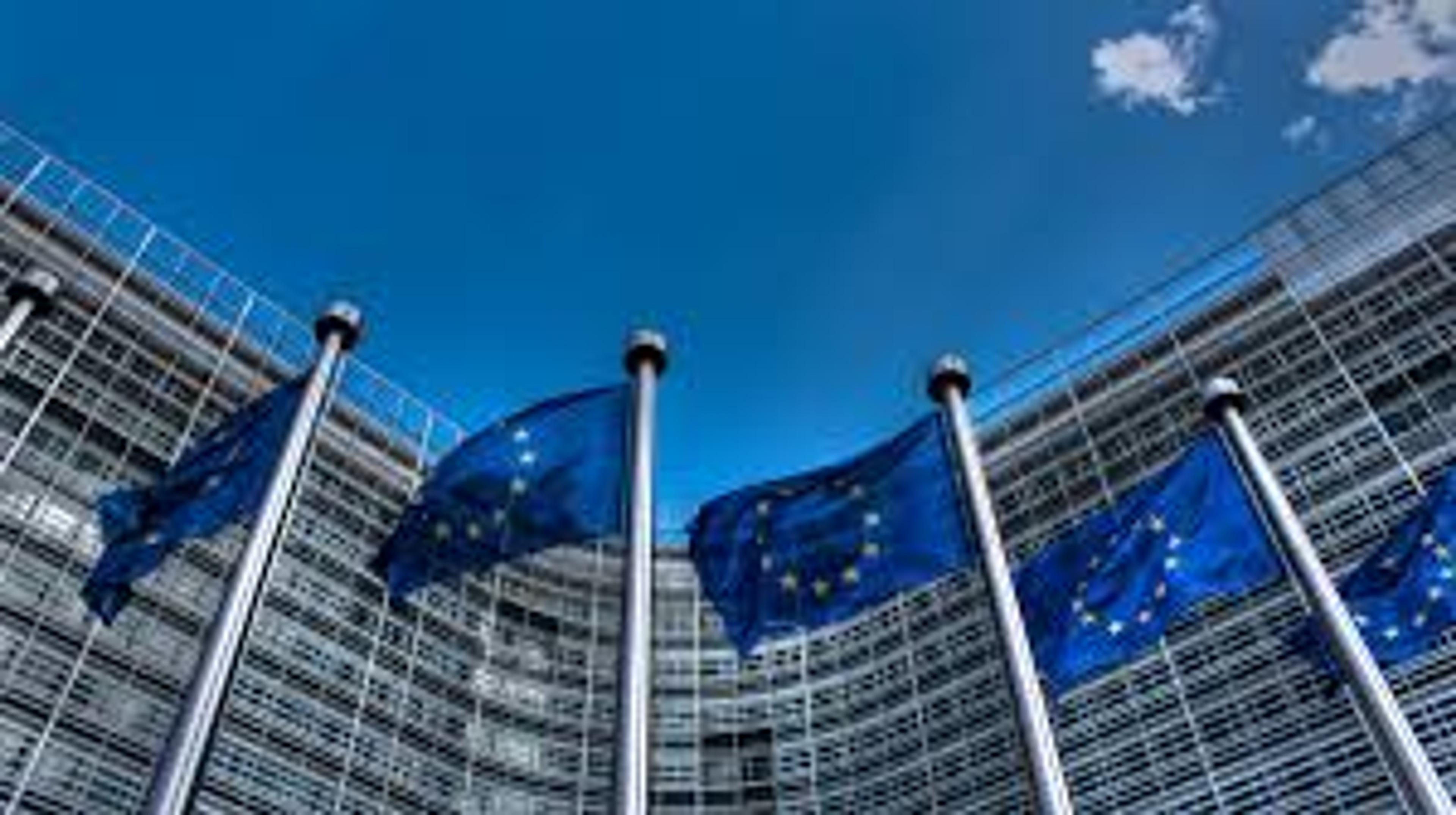 image of european union flags