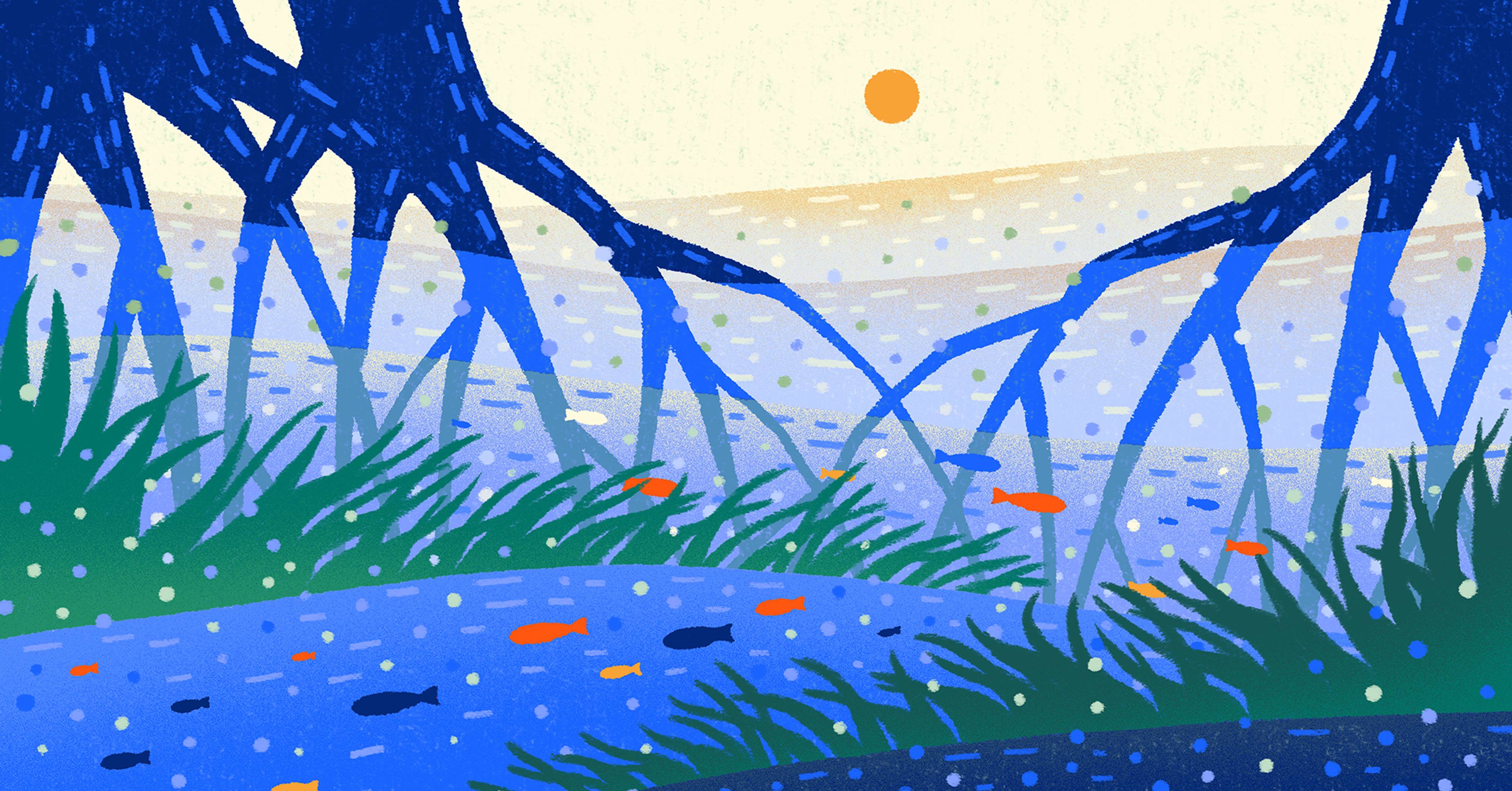 things below the surface, tree roots reaching down