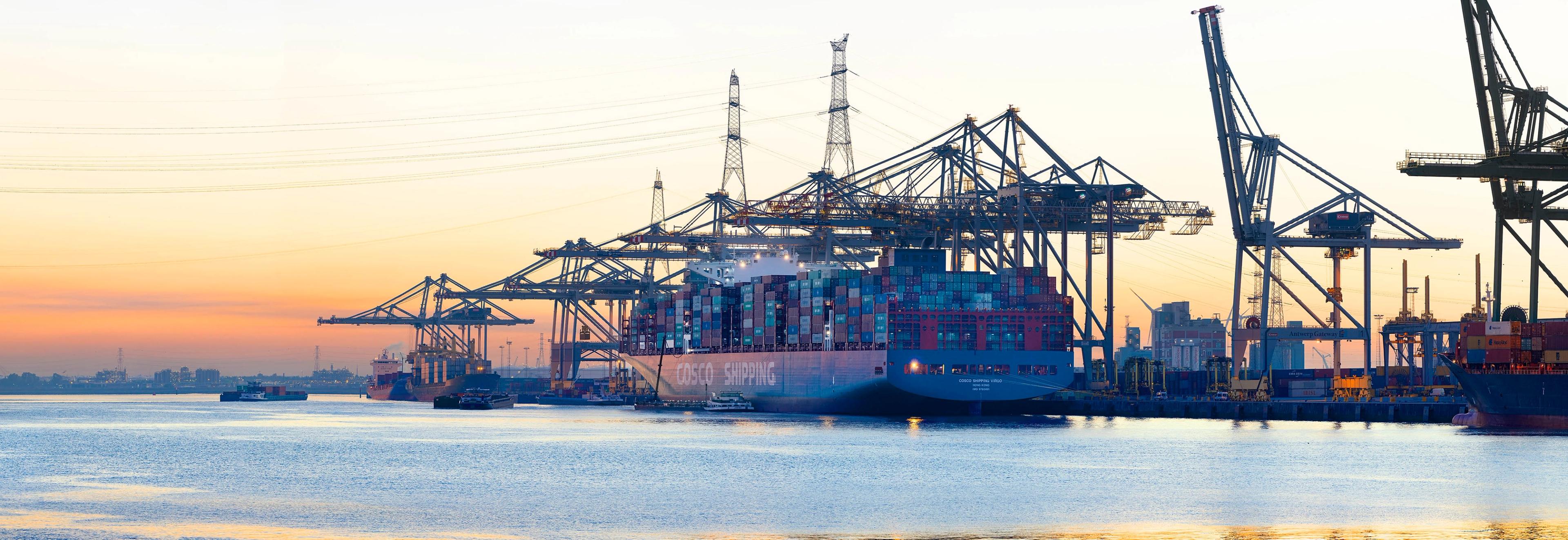 DP World and Watershed customer story
