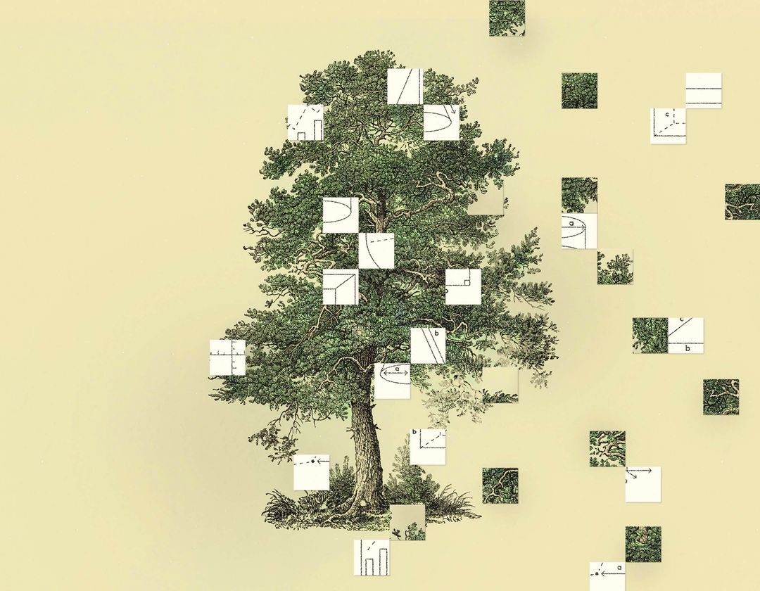 Abstract image of a tree