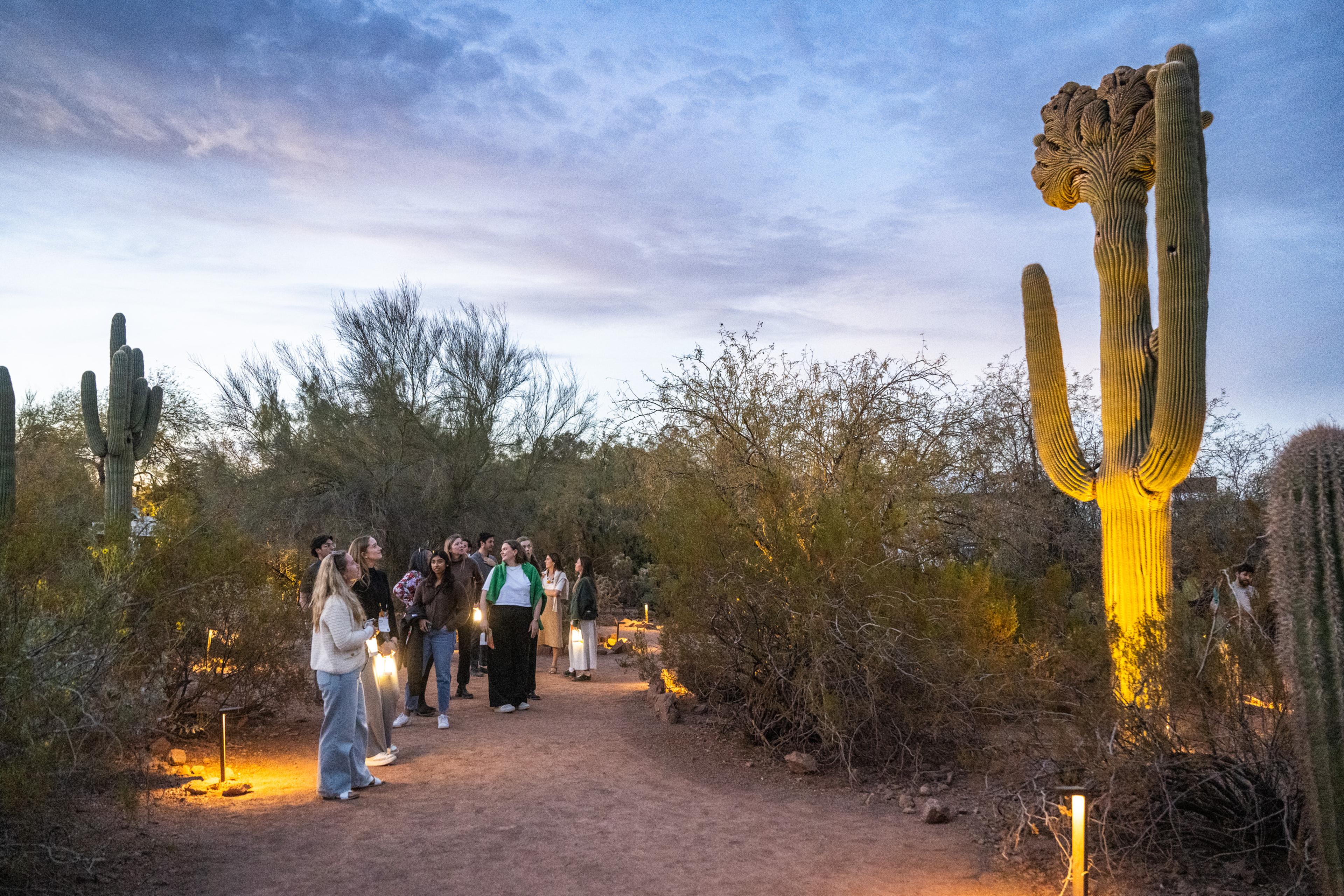 Watershed Community at Desert Botanical Garden Phoenix