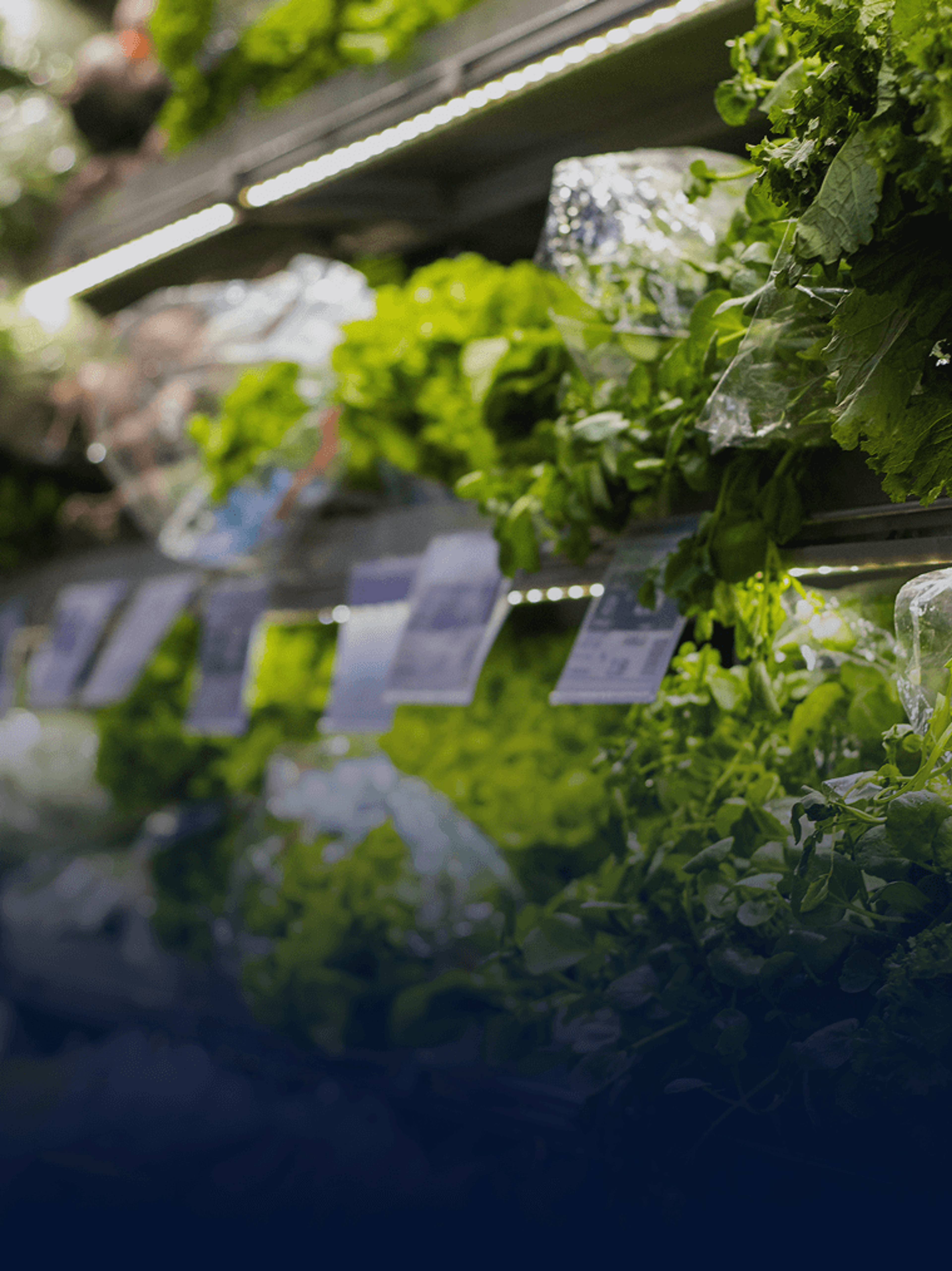Image of produce at the grocery store