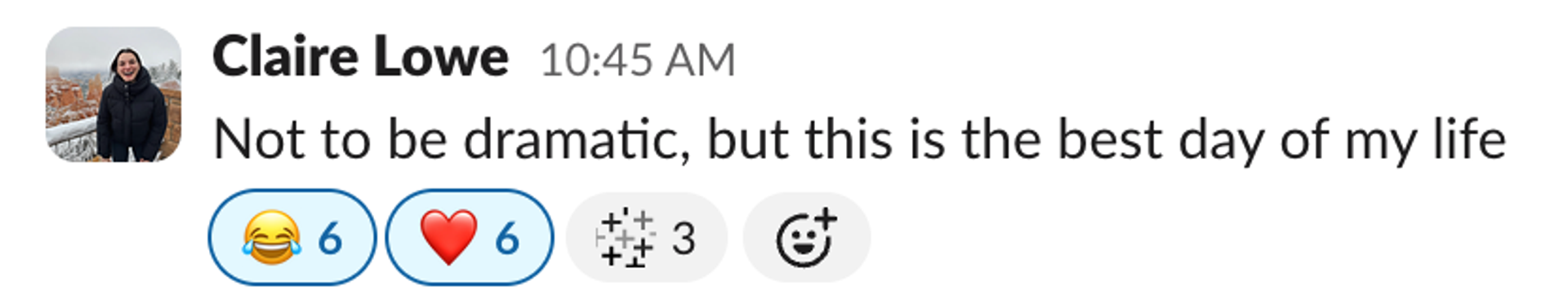 slack comment about sustainable swag