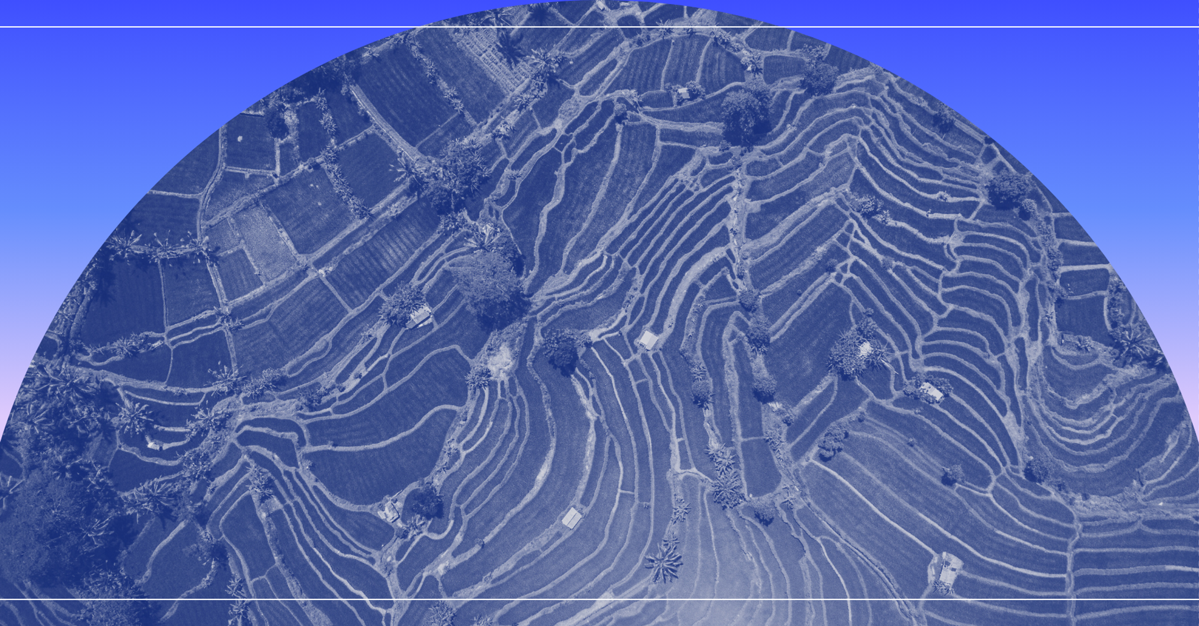 overview image of fields