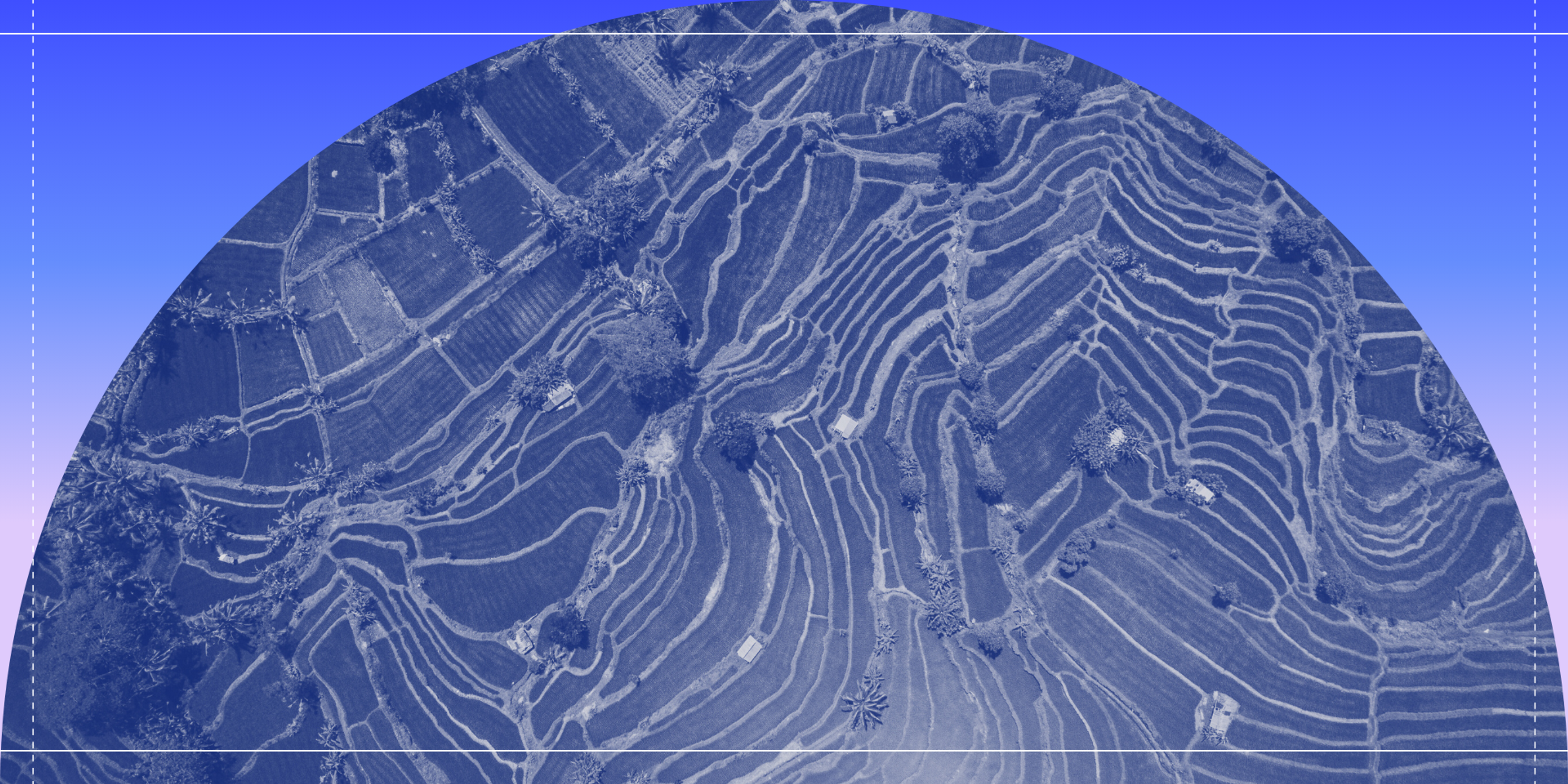 overview image of fields