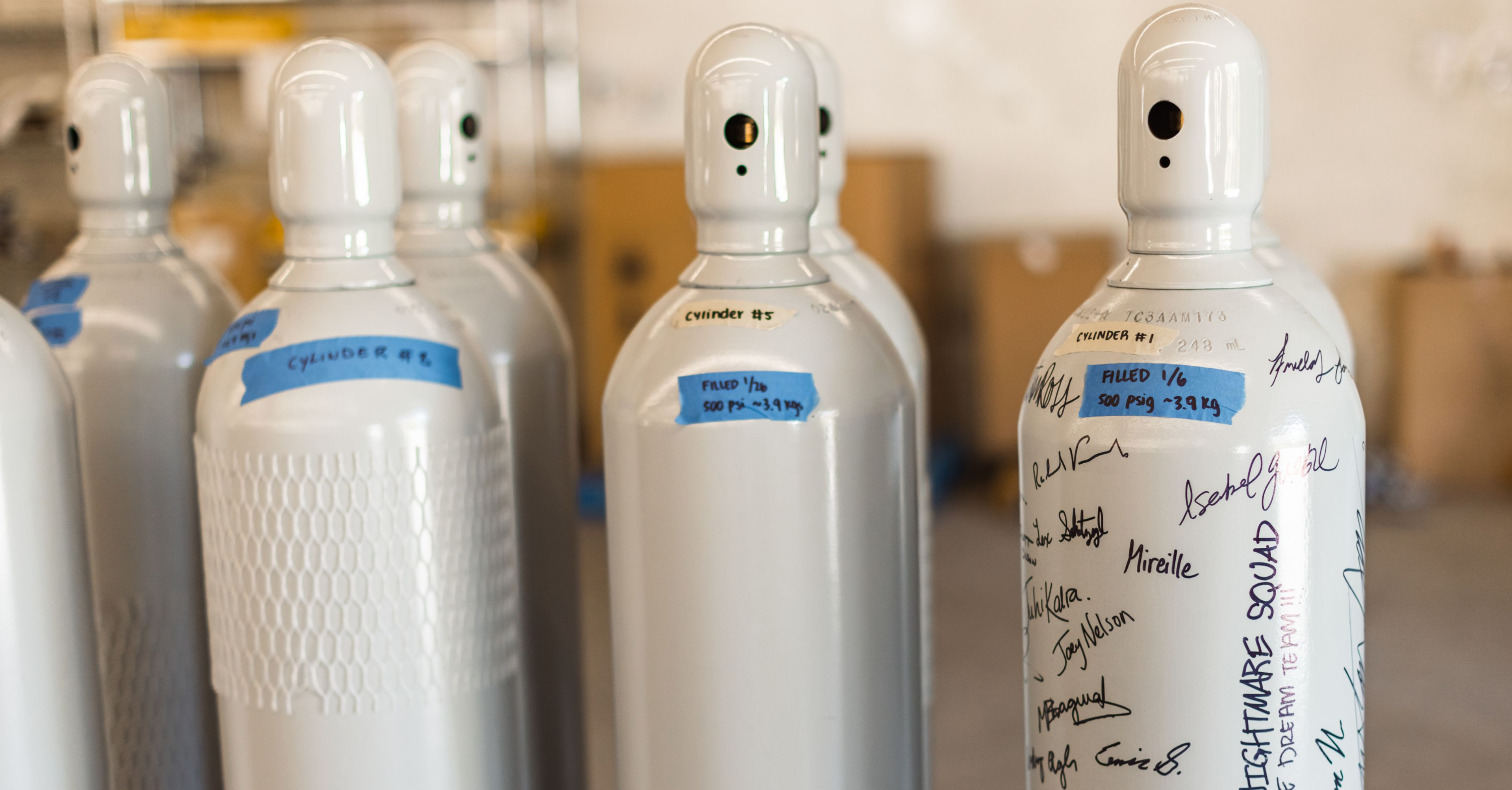 Direct air capture canisters