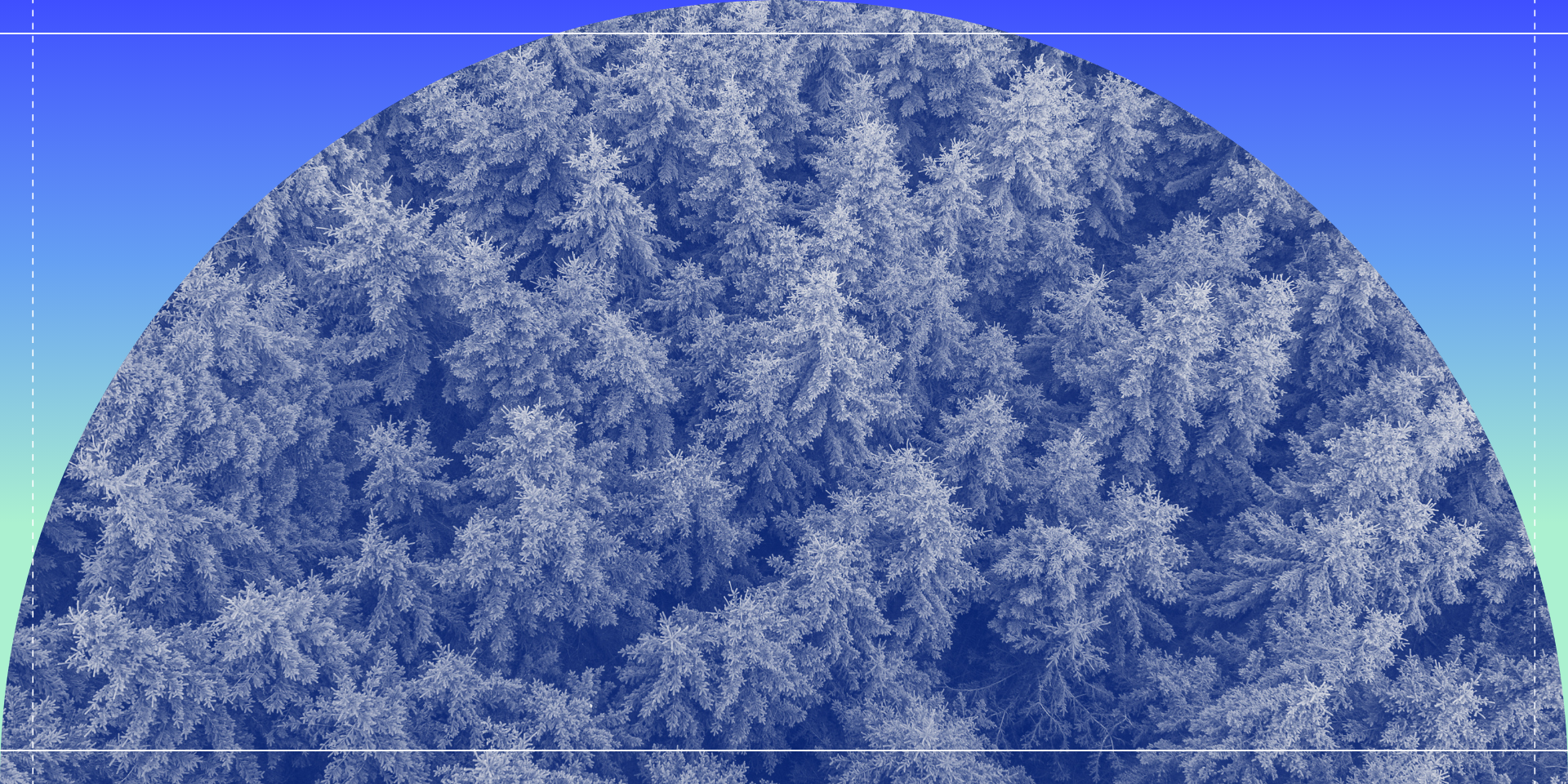 fir trees