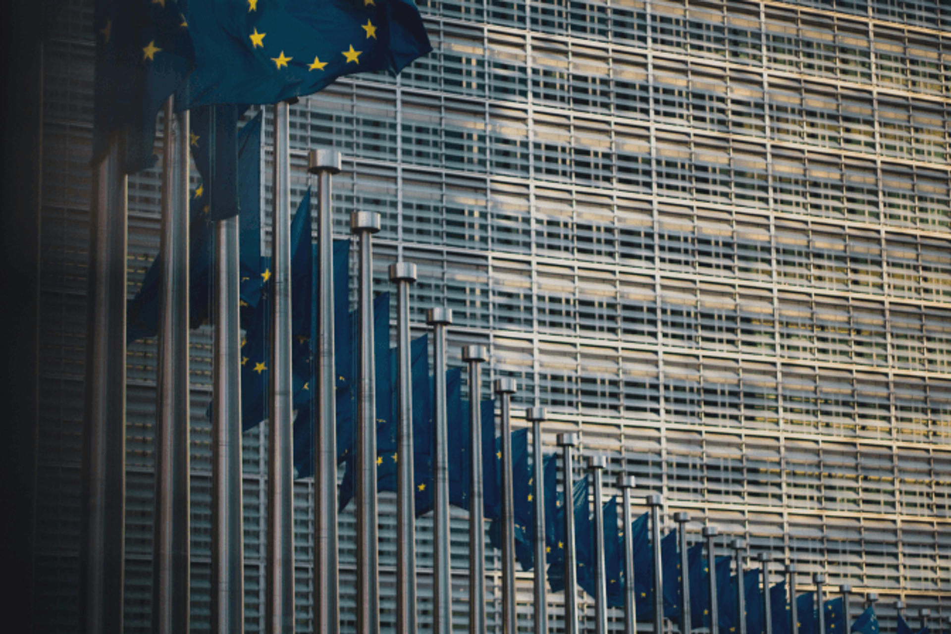Row of EU flags in front of a glass office building facade