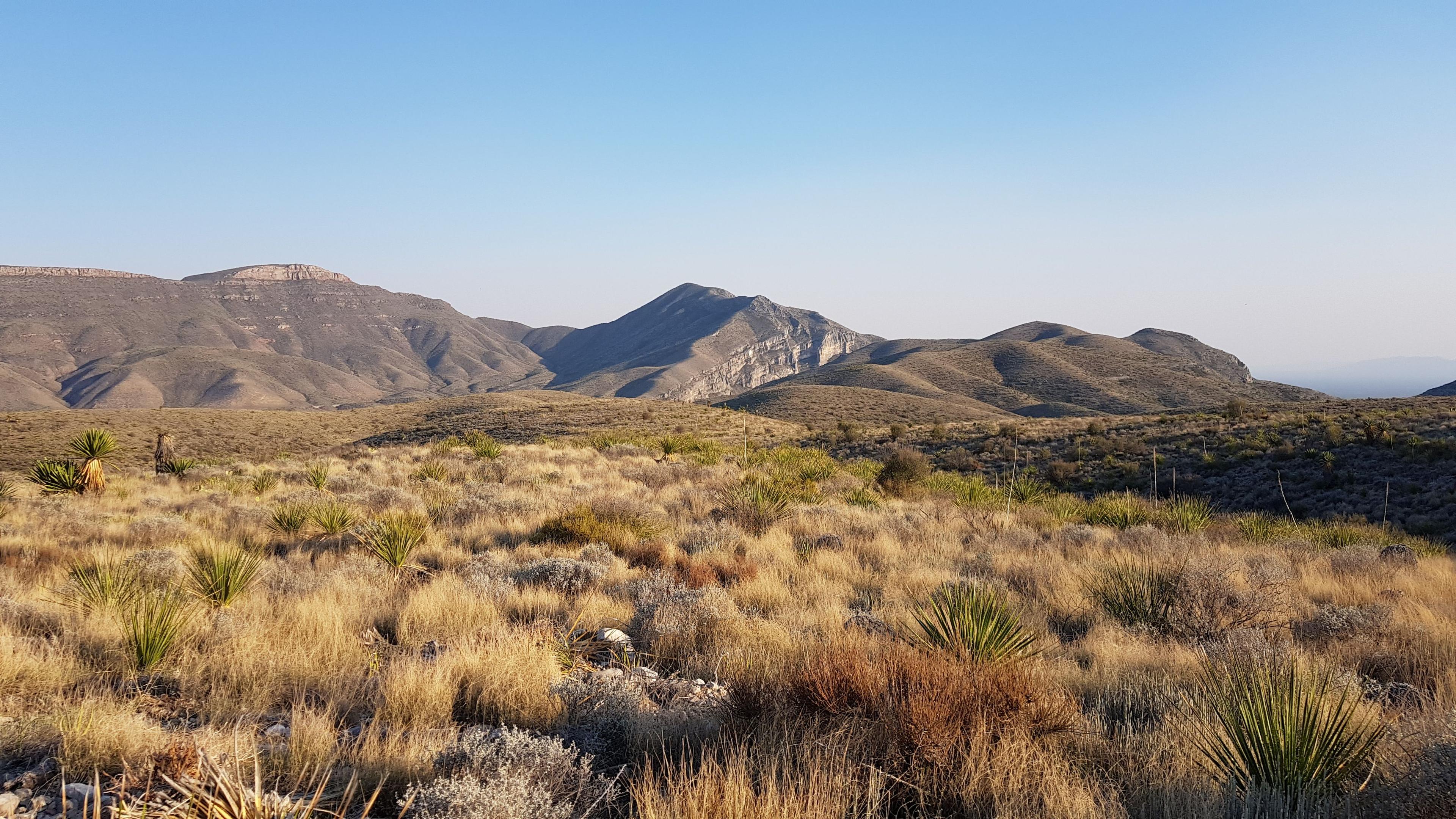 images of a landscape in northern mexico