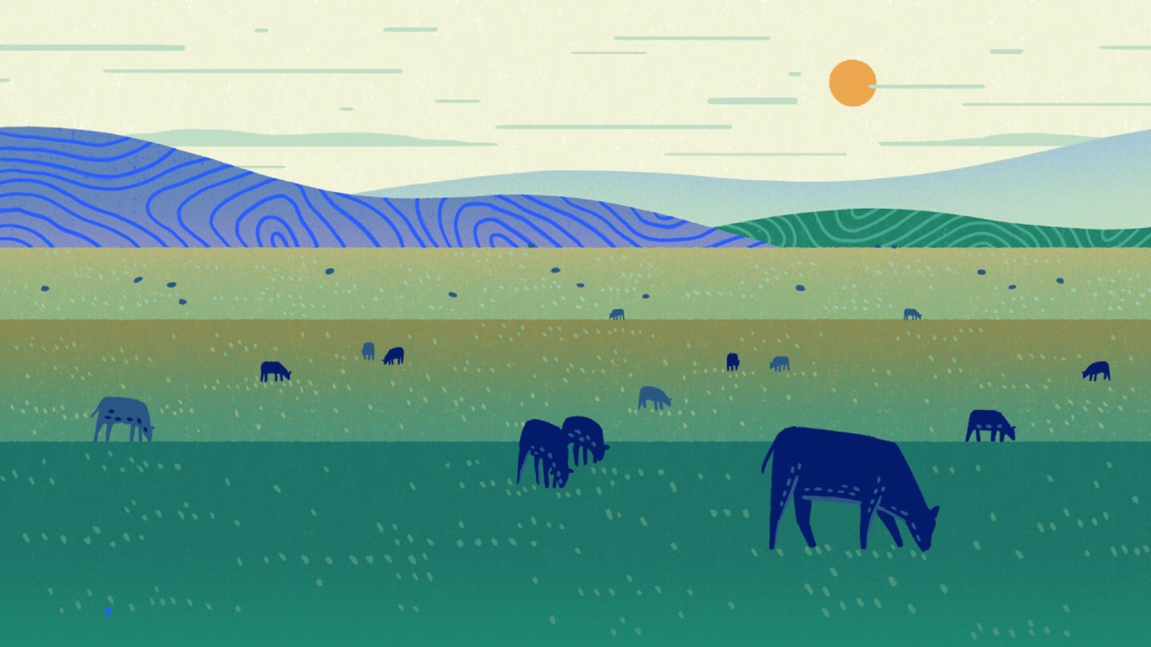 Sustainable Grazing