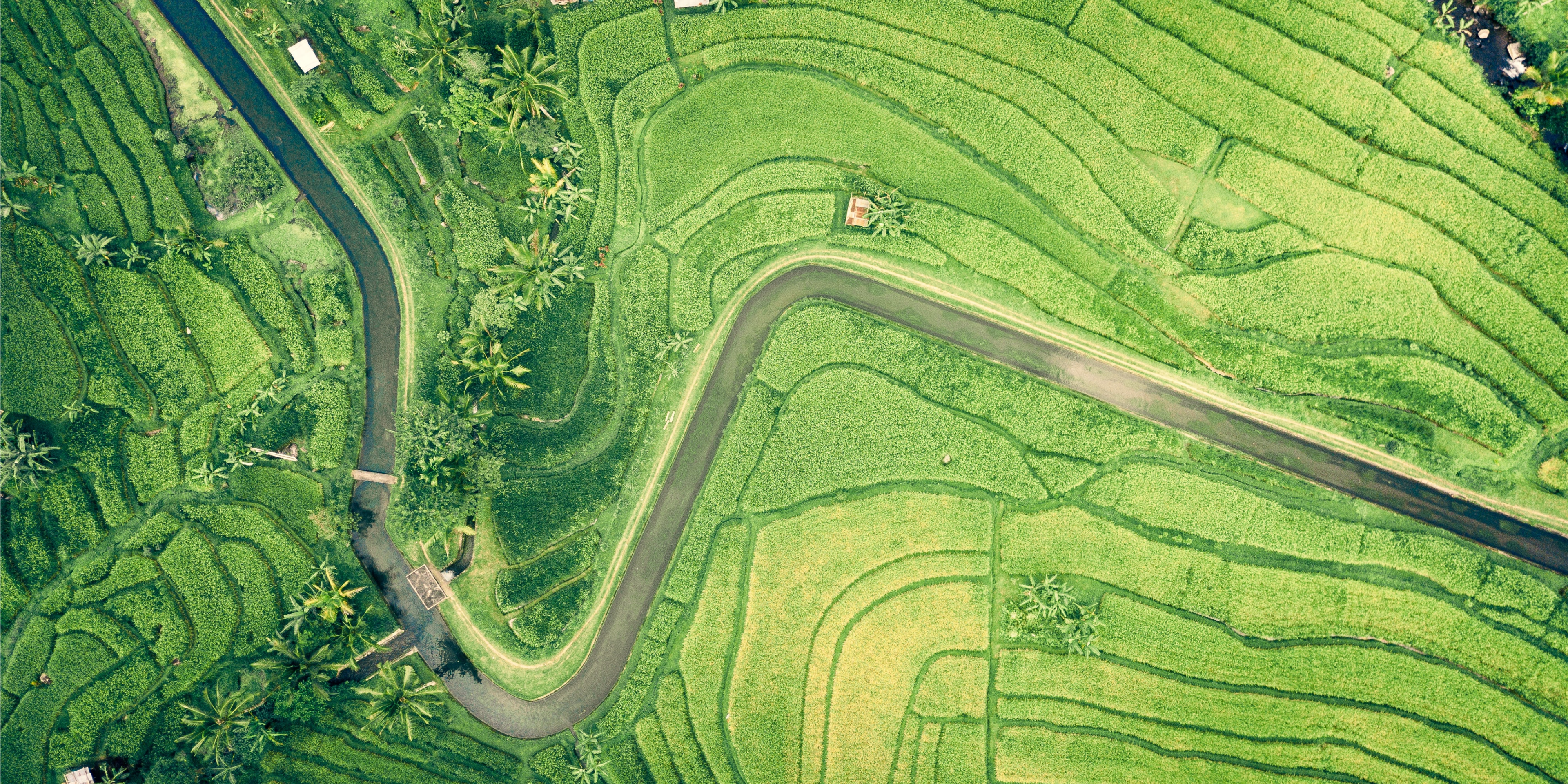 Coupa + Watershed customer story