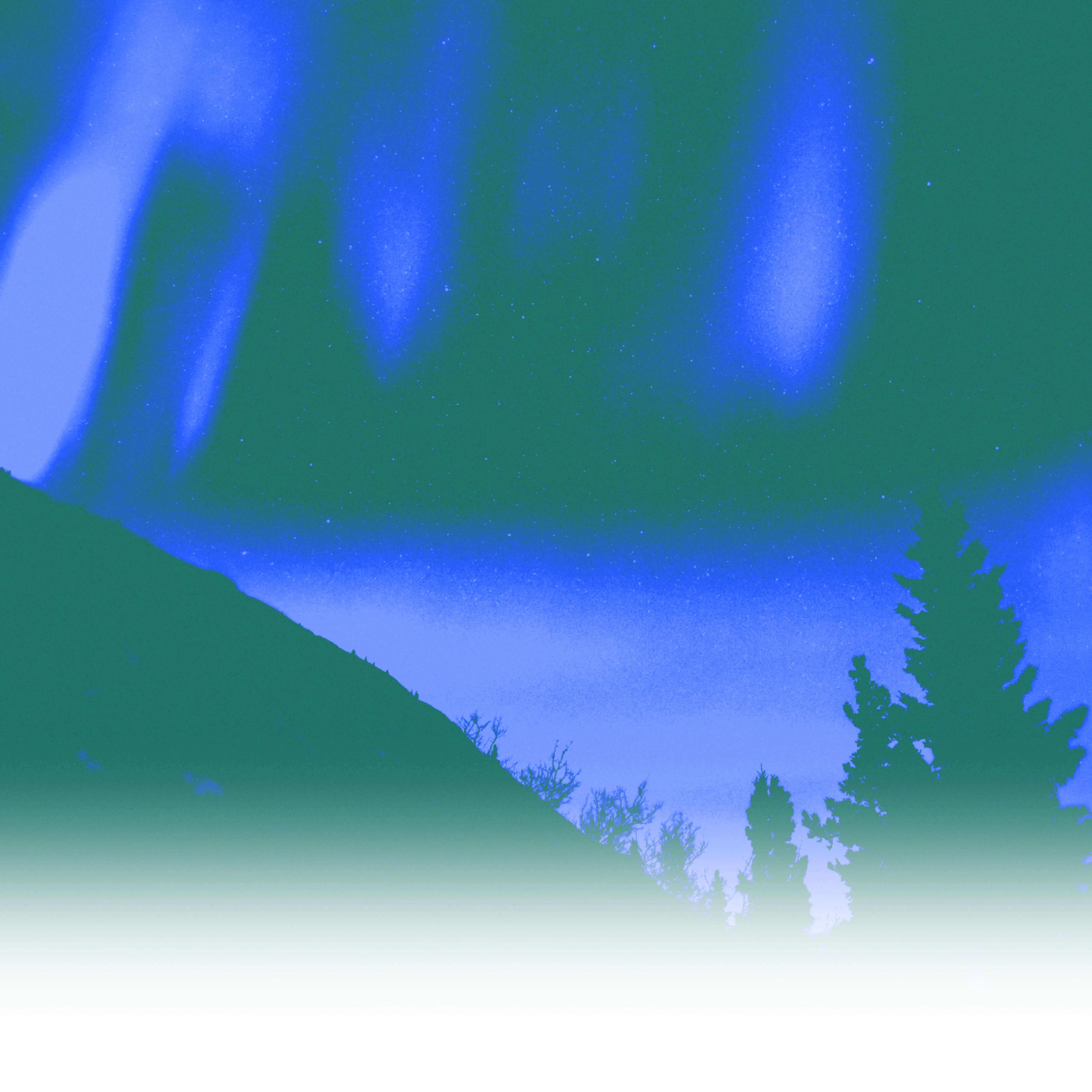 Blue and green forrest