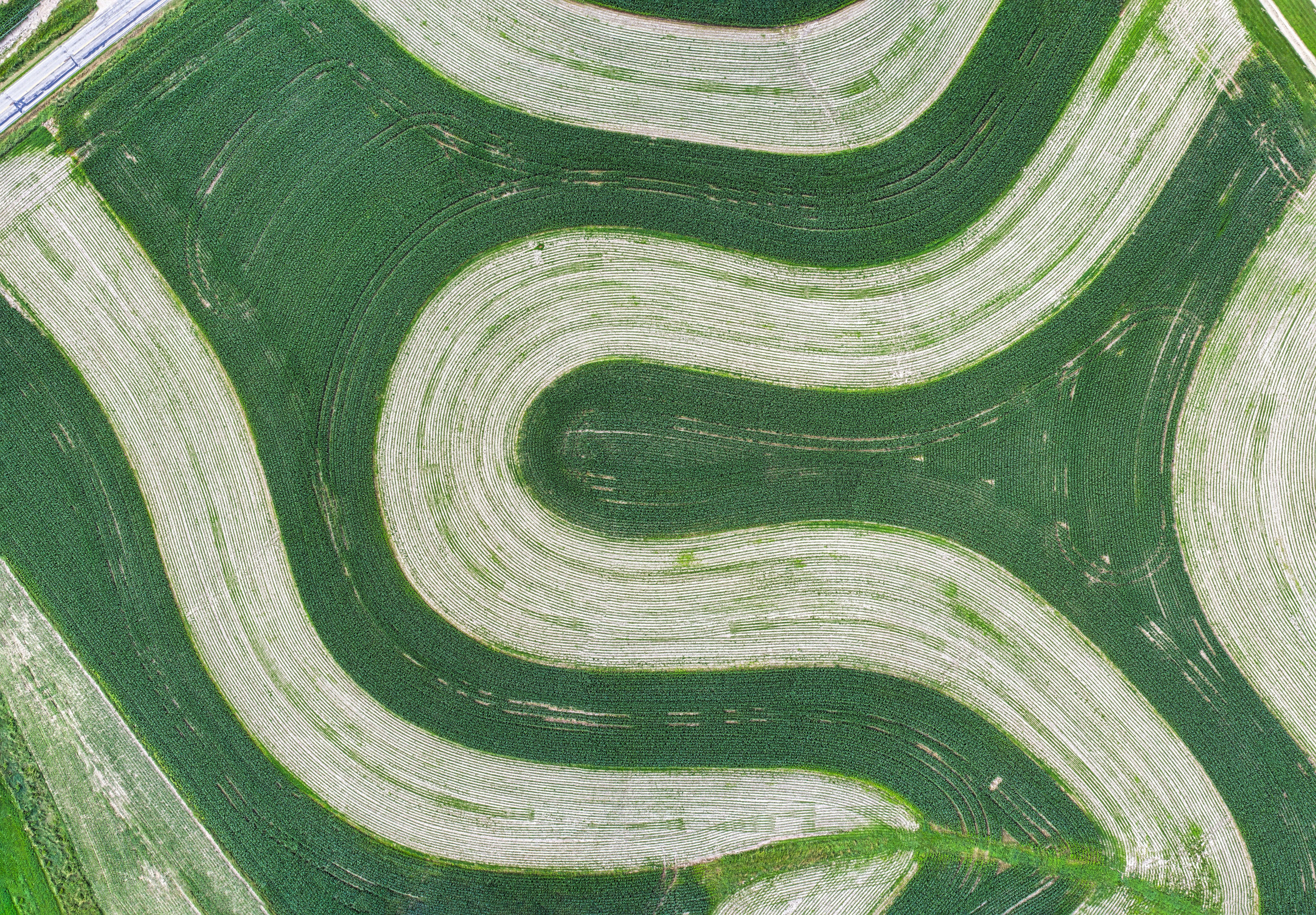 CDP and Watershed customer story